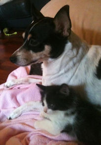 Best Friends