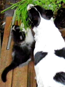 Team Work